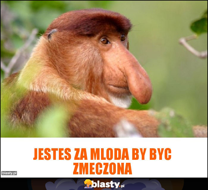 jestes za mloda by byc zmeczona