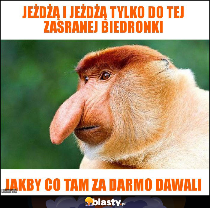 Jeżdżą i jeżdżą tylko do tej zasranej biedronki