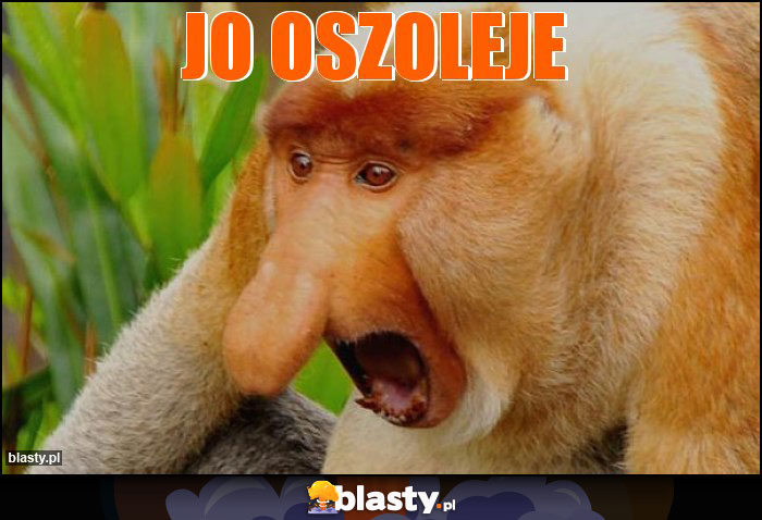 jo oszoleje