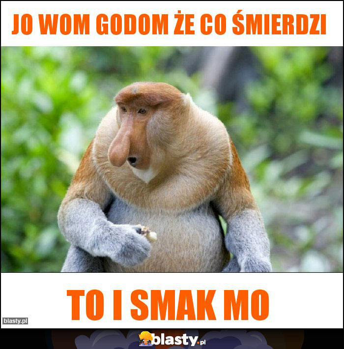 Jo wom godom że co śmierdzi