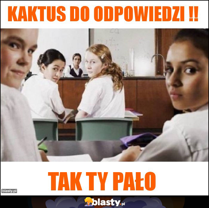 Kaktus do odpowiedzi !!