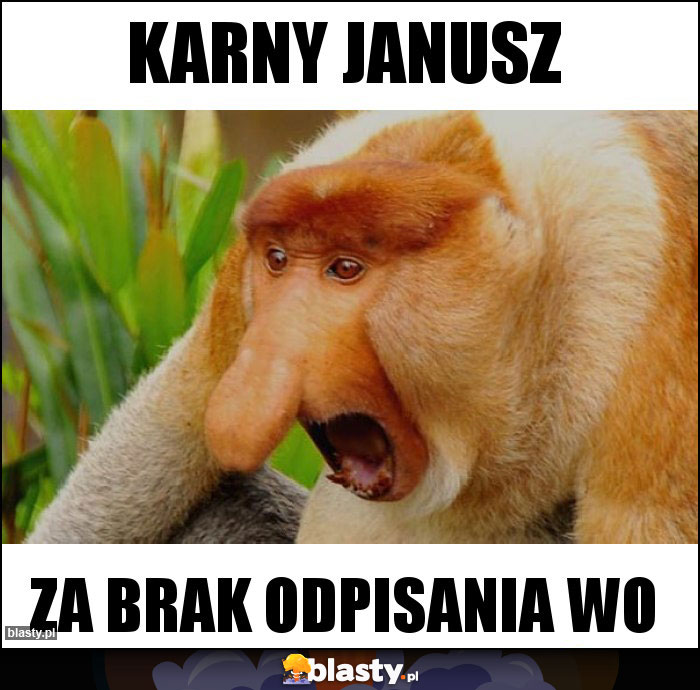 KARNY JANUSZ