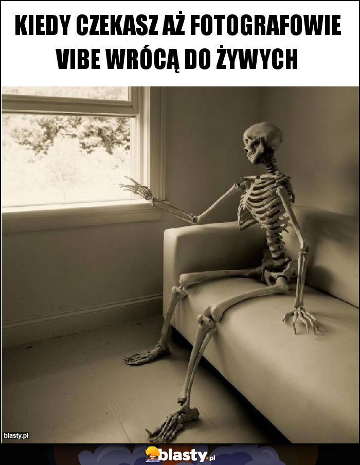 Kiedy czekasz aż fotografowie Vibe wrócą do żywych