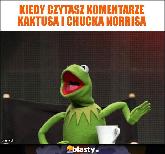 Kiedy czytasz komentarze kaktusa i chucka norrisa