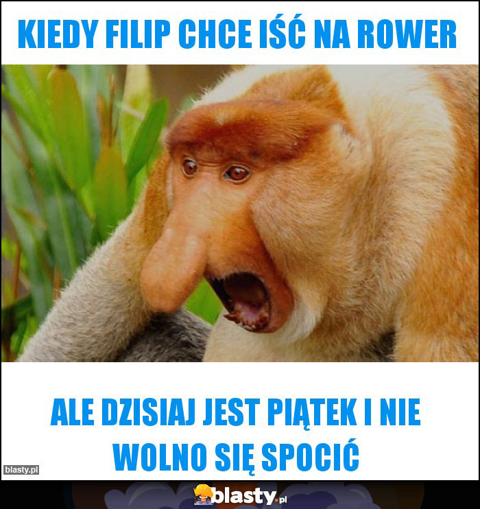 Kiedy Filip chce iść na rower