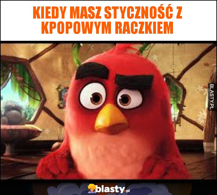 Kiedy masz styczność z kpopowym raczkiem