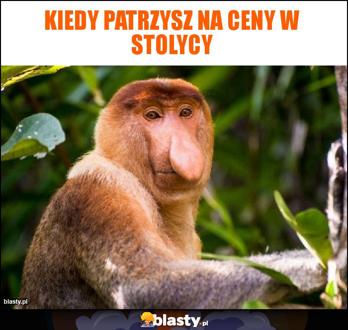 Kiedy patrzysz na ceny w stolycy