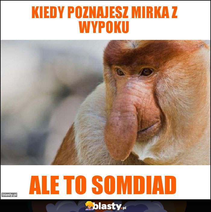 KIEDY POZNAJESZ MIRKA Z WYPOKU