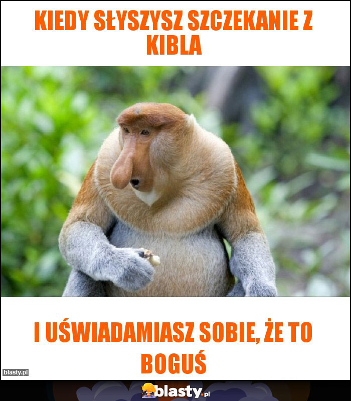 Kiedy słyszysz szczekanie z kibla