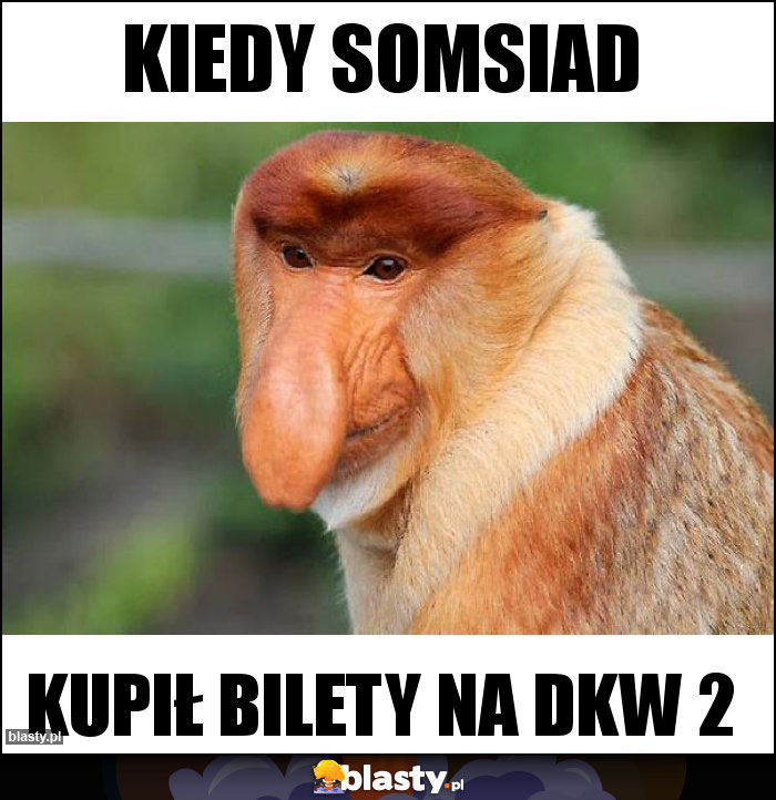 Kiedy somsiad