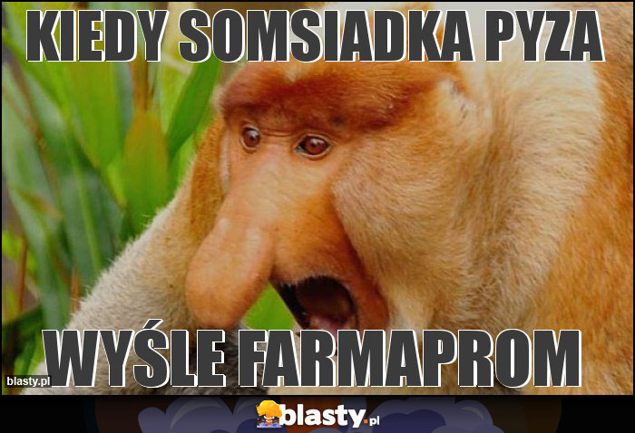 KIEDY SOMSIADKA PYZA