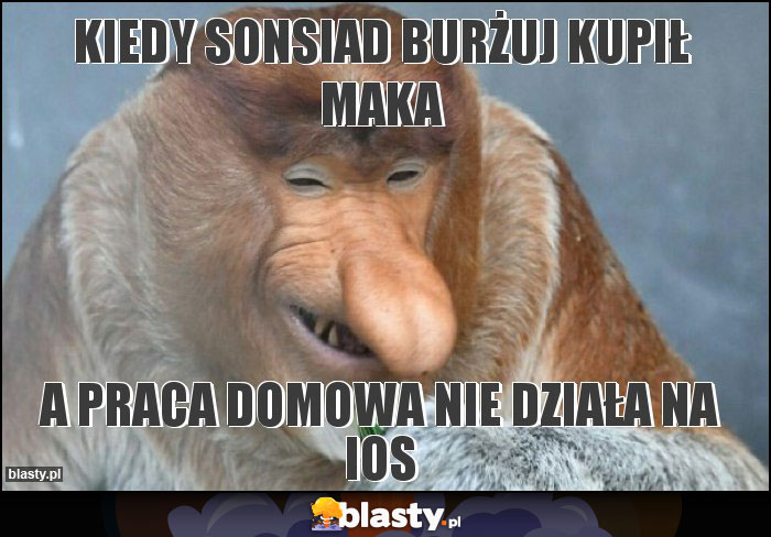 Kiedy sonsiad burżuj kupił maka