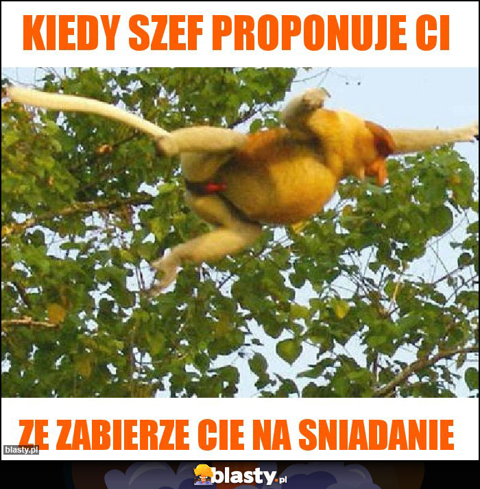 kiedy szef proponuje ci