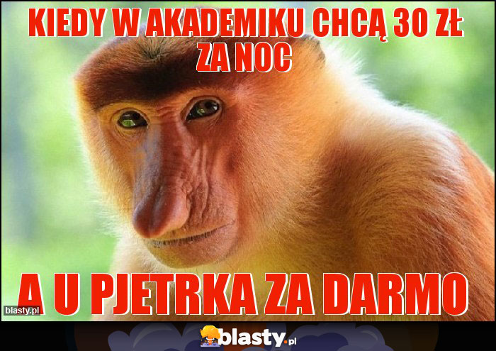 Kiedy w akademiku chcą 30 zł za noc