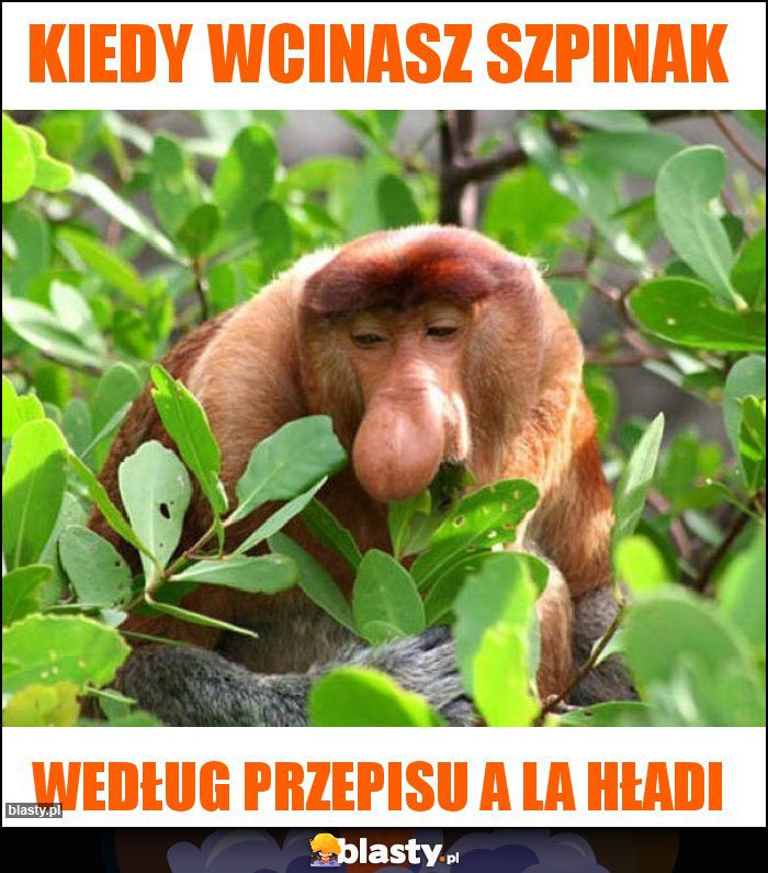 Kiedy wcinasz szpinak