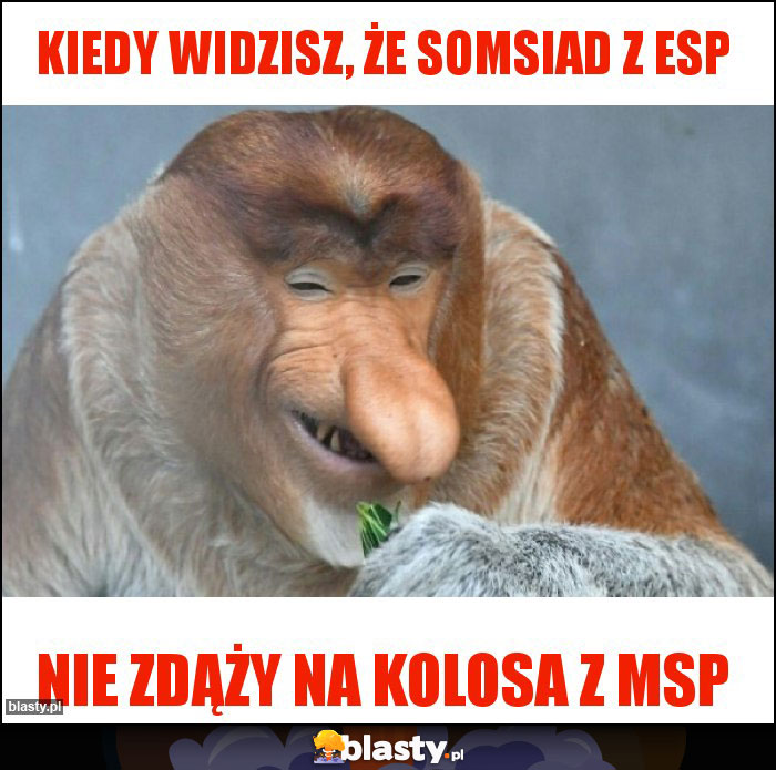 Kiedy widzisz, że somsiad z ESP