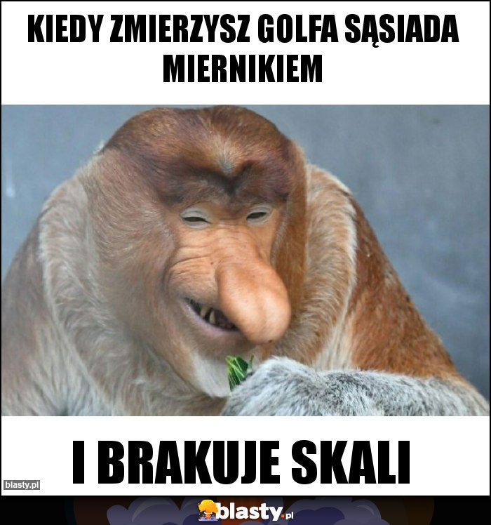 KIEDY ZMIERZYSZ GOLFA SĄSIADA MIERNIKIEM