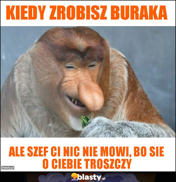 kiedy zrobisz buraka