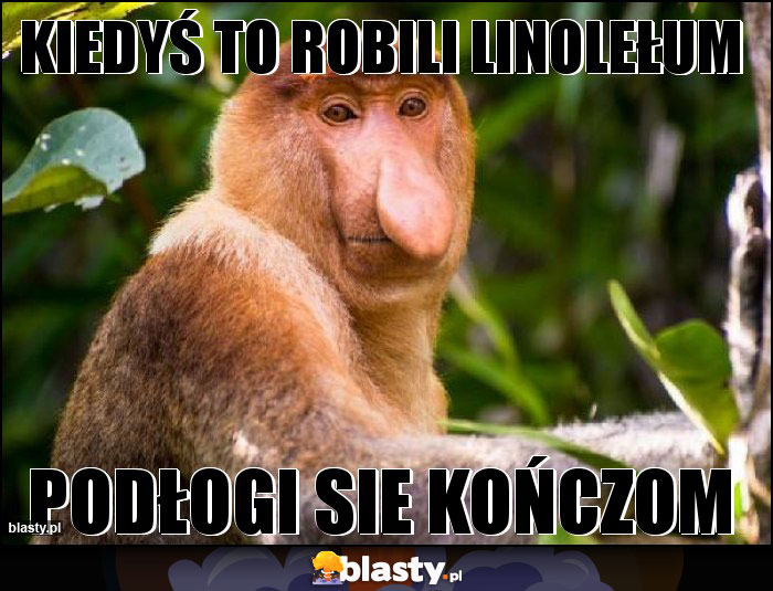 Kiedyś to robili linolełum