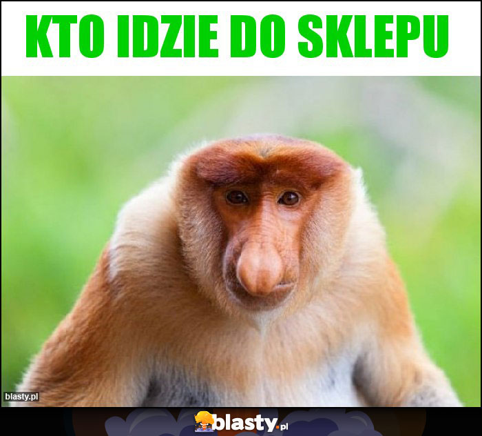 kto idzie do sklepu