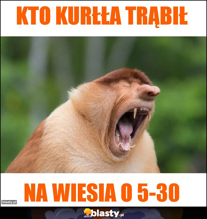 Kto kurłła trąbił