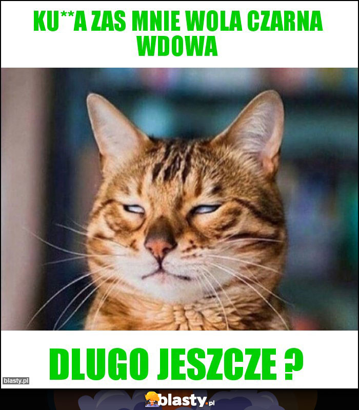 Ku**a zas mnie wola czarna wdowa