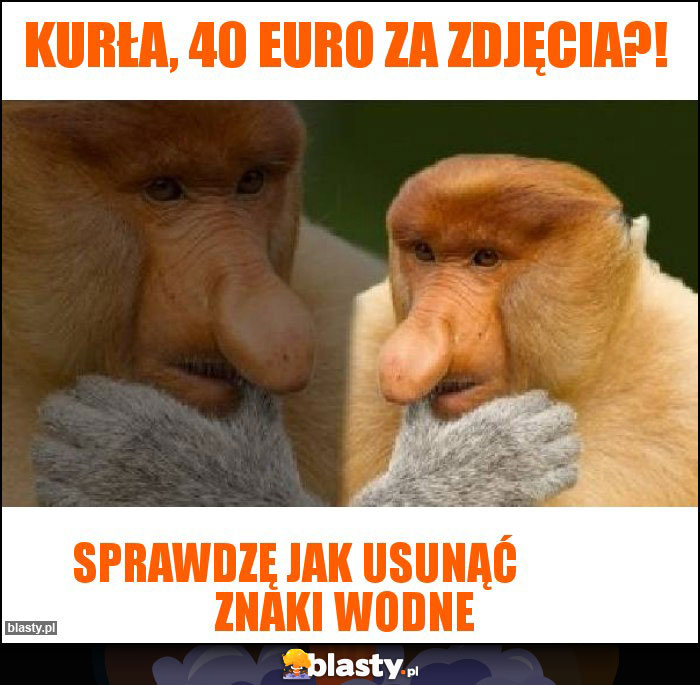 KURŁA, 40 EURO ZA ZDJĘCIA?!