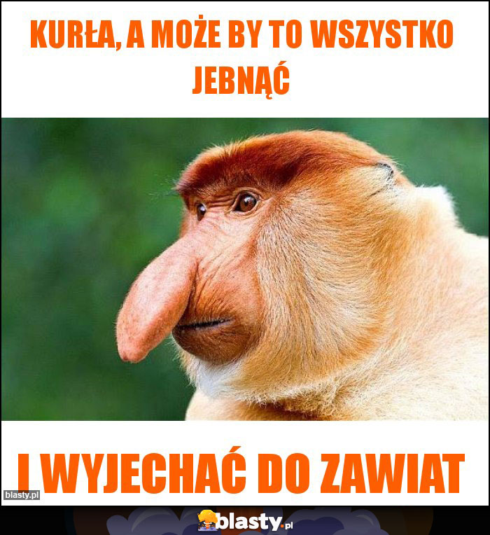 Kurła, a może by to wszystko jebnąć