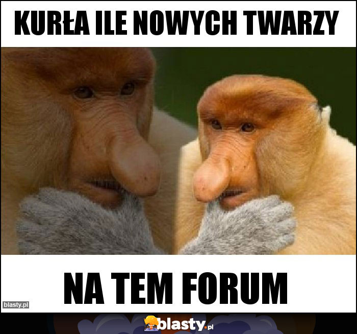 Kurła ile nowych twarzy