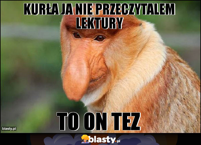 kurła ja nie przeczytalem lektury