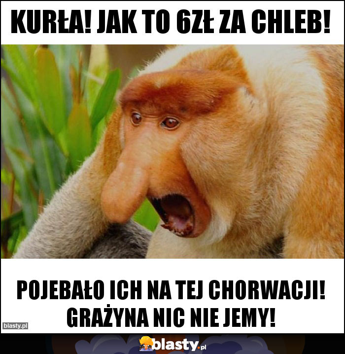 Kurła! Jak to 6zł za chleb!