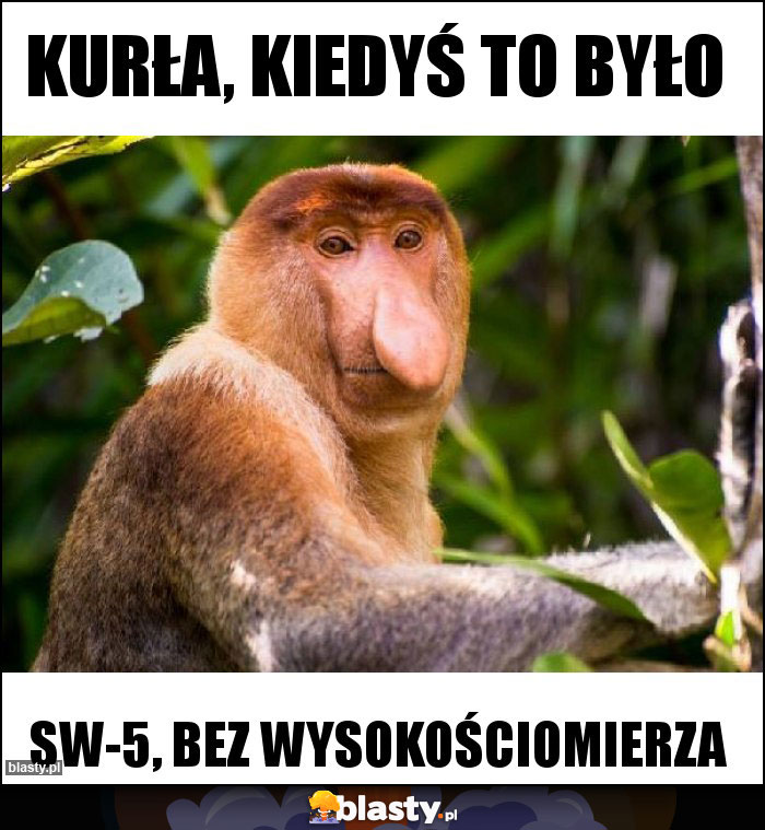 Kurła, kiedyś to było