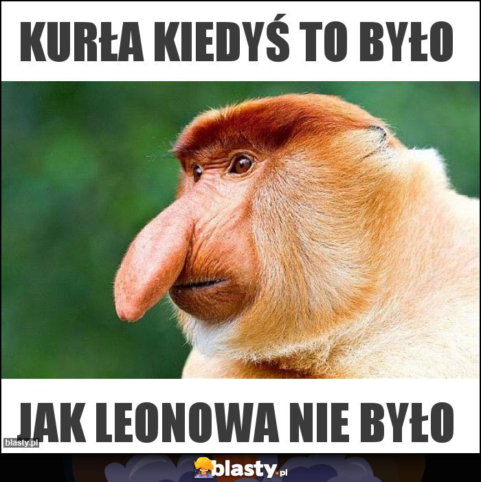 KURŁA KIEDYŚ TO BYŁO