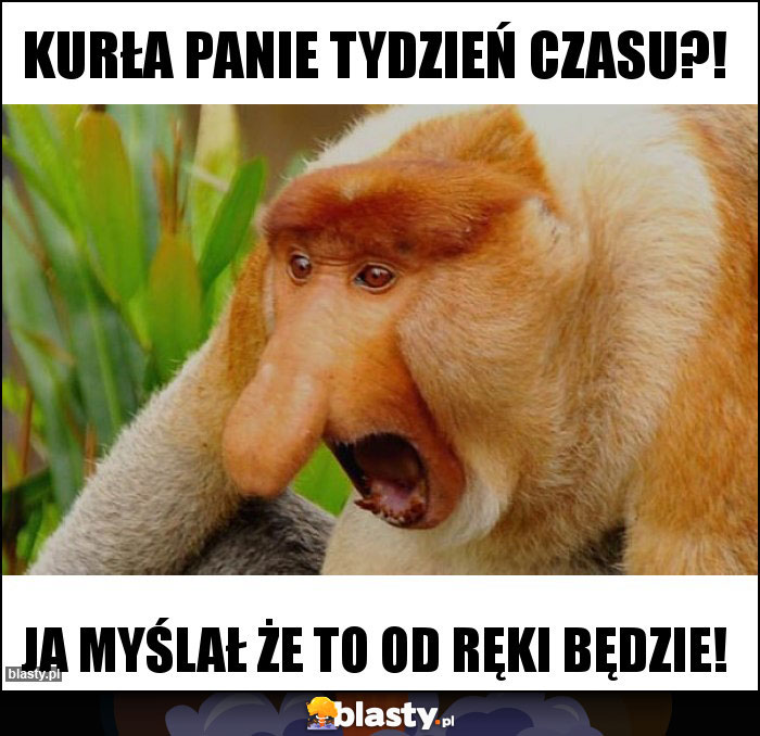 Kurła Panie tydzień czasu?!