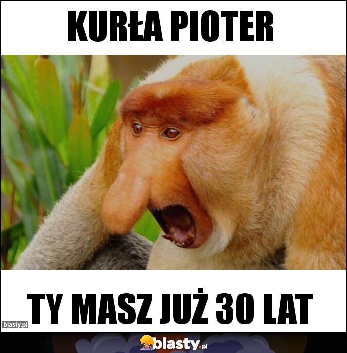 Kurła pioter