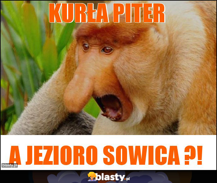 Kurła Piter