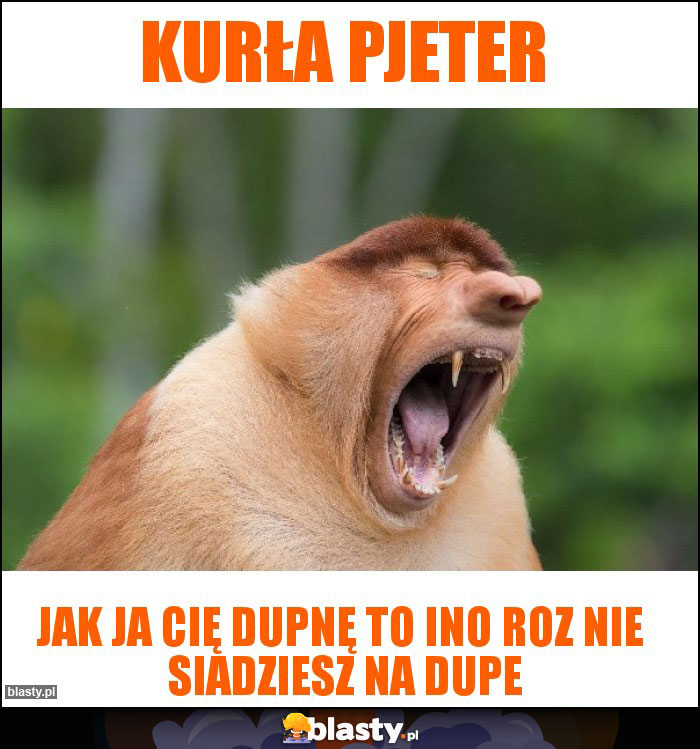 Kurła pjeter