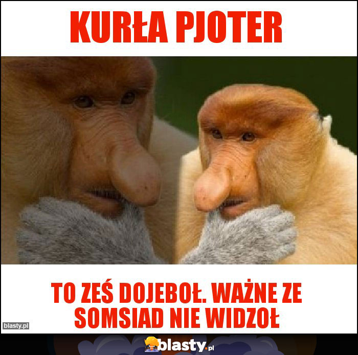 KURŁA PJOTER