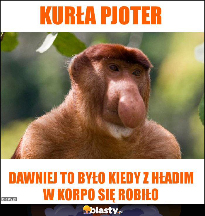 Kurła Pjoter