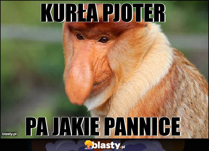 Kurła Pjoter