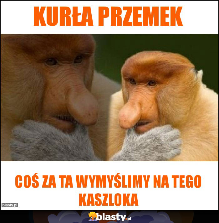 Kurła przemek