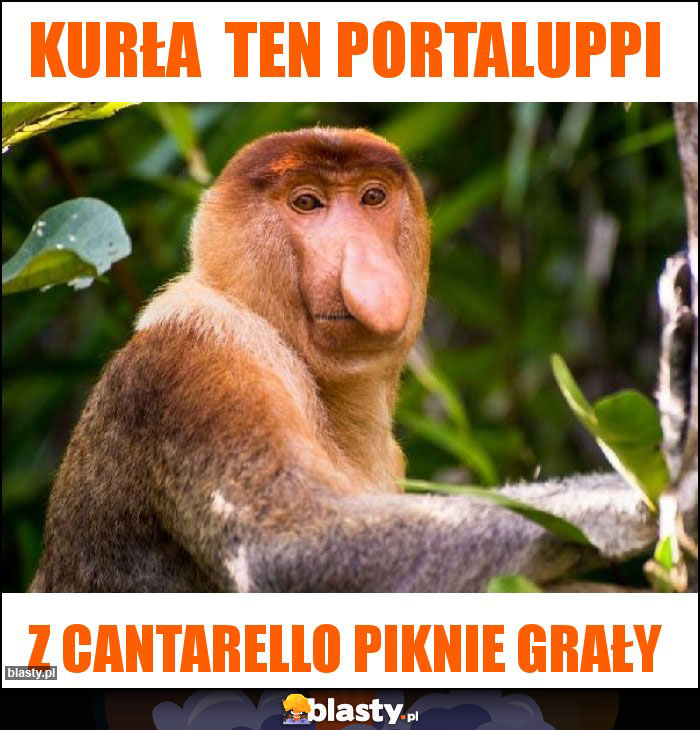 Kurła  Ten portaluppi