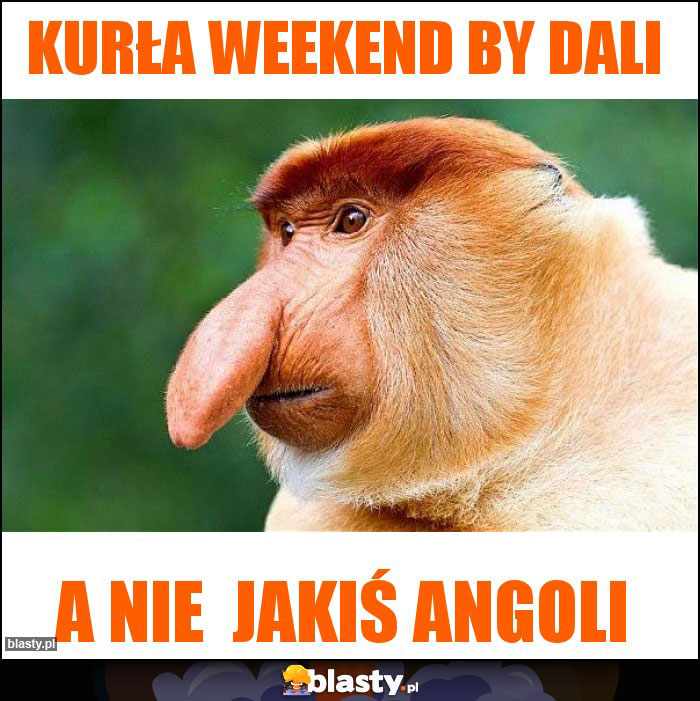 Kurła Weekend By dali