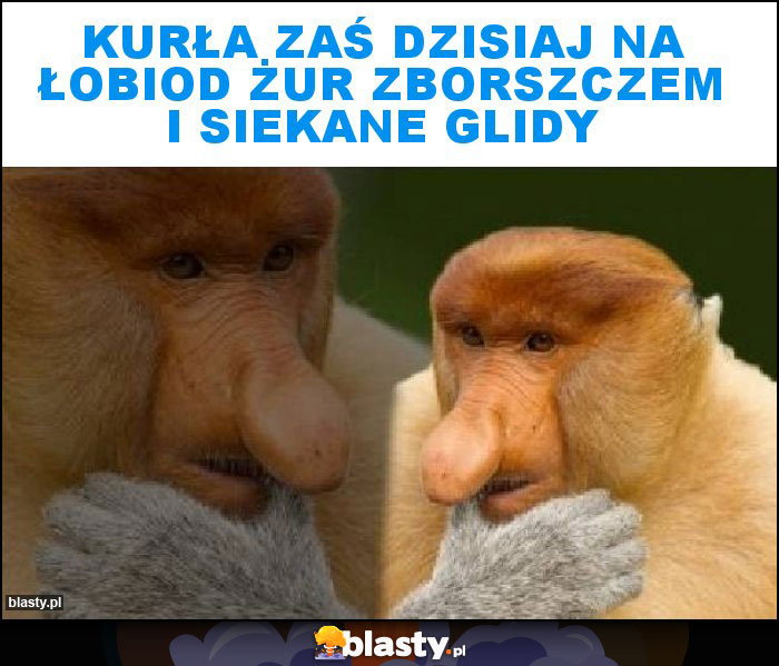 kurła zaś dzisiaj na łobiod żur zborszczem i siekane glidy