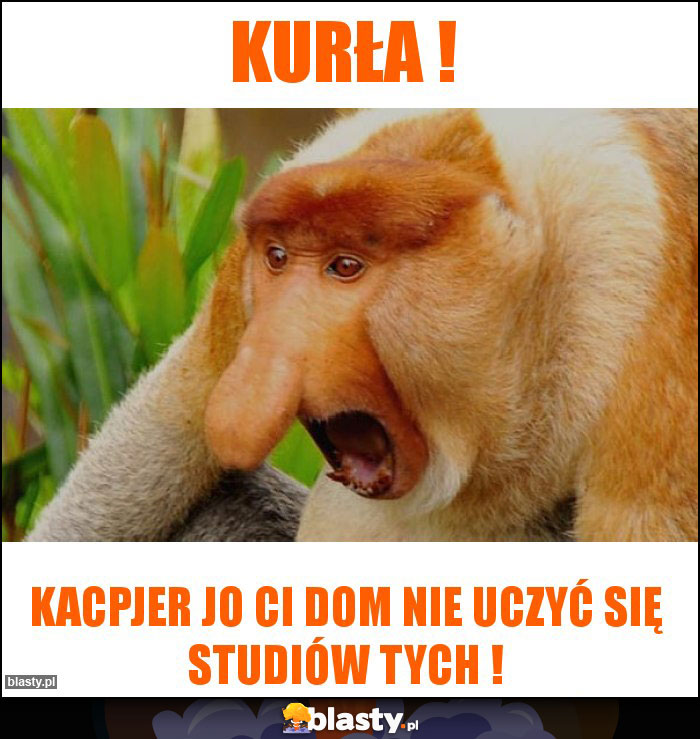 Kurła !