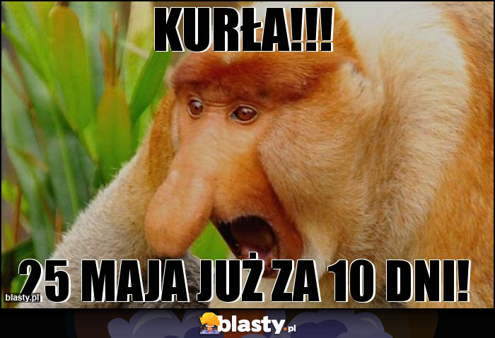 KURŁA!!!