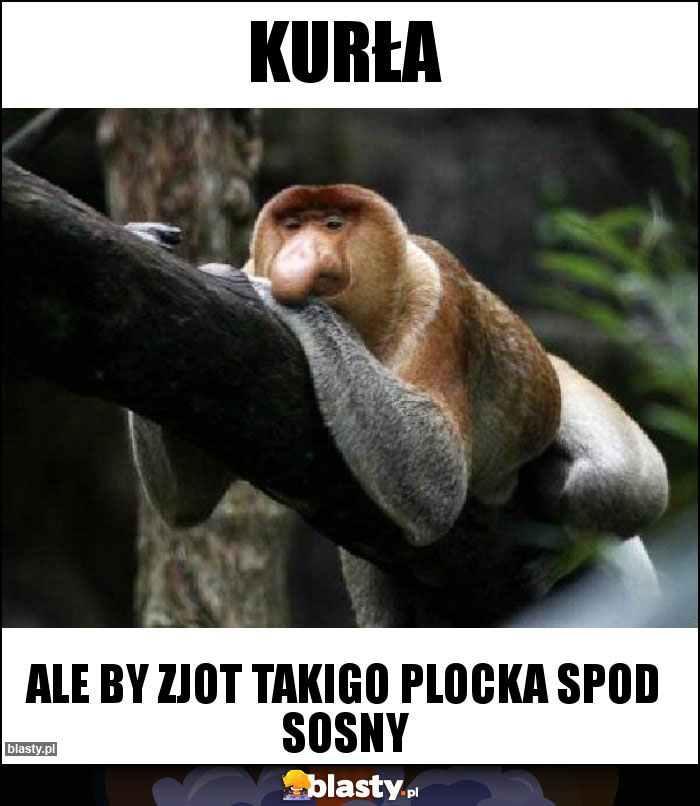 KURŁA