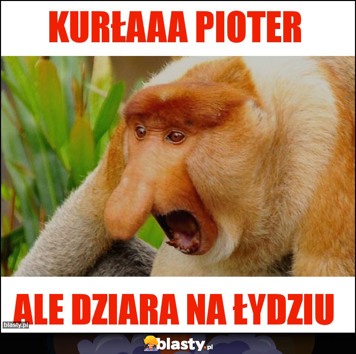 Kurłaaa Pioter