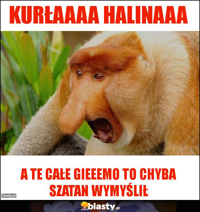 Kurłaaaa Halinaaa