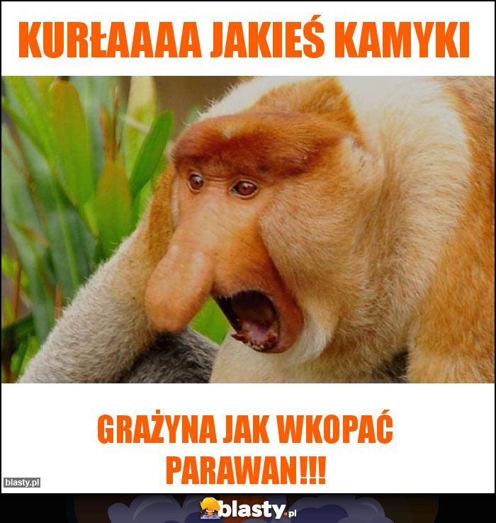 KURŁAAAA JAKIEŚ KAMYKI